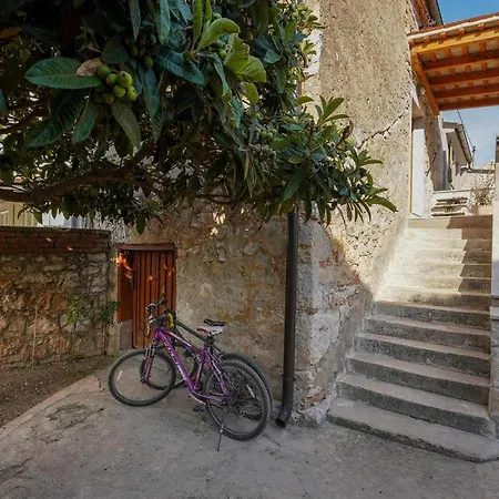 Tatil Evi Paris *
